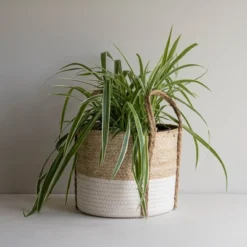 Natural Woven White Seagrass & Rope Basket - Foreside Home & Garden -Storage Store GUEST 0b8366d4 5025 4237 bb35 6ad4f5abee7d