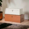 American Atelier Daven Decorative Metal Box Trunks, Set Of 2, Vintage Style Storage W/ Loop Closures, Space Saving Organizer For Home