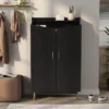 Tamworth Double Door Shoe Cabinet Black - MiBasics