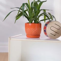 Guidecraft EdQ 2-Shelf Open Storage - 24" -Storage Store GUEST 862cca7d d1d0 4c13 9160 88377d7da020