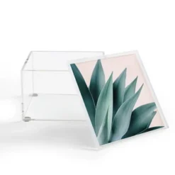 Gale Switzer Agave Flare II Peach Acrylic Box - Deny Designs
