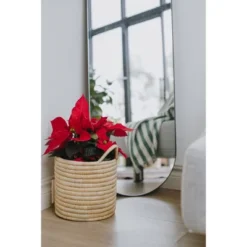 Mo's Crib Medium Handcrafted Karula Basket With Handles