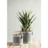 Shiraleah Home, Blue Set Of Two Sierra Planter Baskets